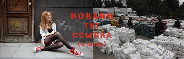 ALPHA PVP Куйбышев