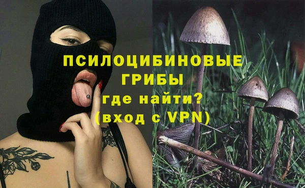 МДМА Алексеевка
