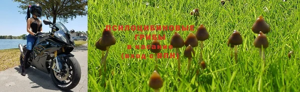 ALPHA PVP Куйбышев
