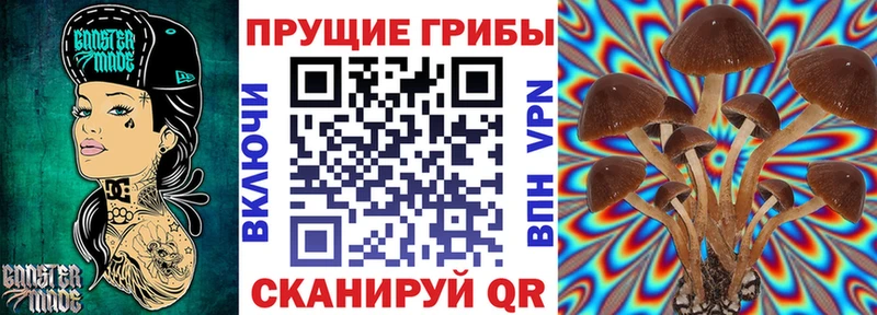 Галлюциногенные грибы ЛСД  даркнет сайт  Перевоз 