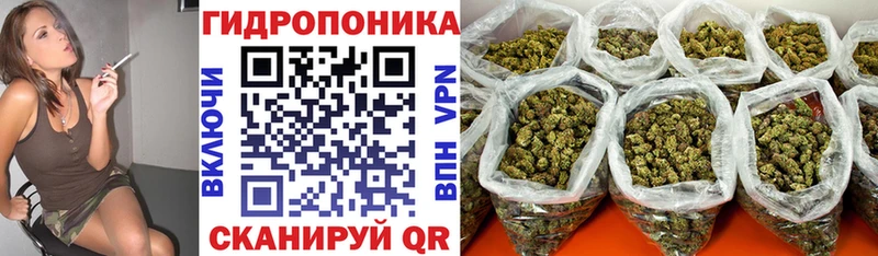 Конопля Ganja  Перевоз 